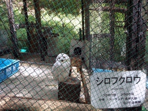 Ikeda-Zoo_14.jpg