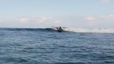 STARBOARD PRO 6'8