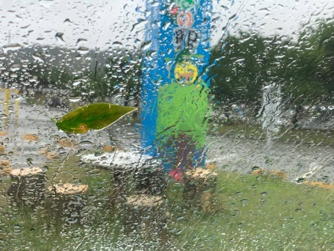 雨の沖縄