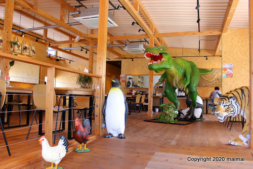 香川県に誕生　シュライヒカフェの恐竜たち！