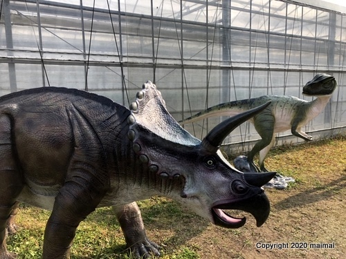 岡山県　山田養蜂場に恐竜出現の情報あり！　ｂy maimaiさん