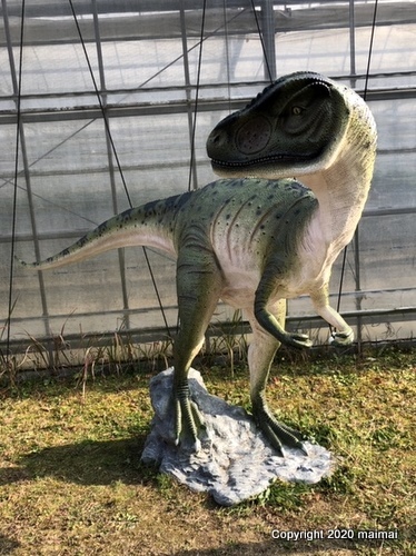 岡山県　山田養蜂場に恐竜出現の情報あり！　ｂy maimaiさん