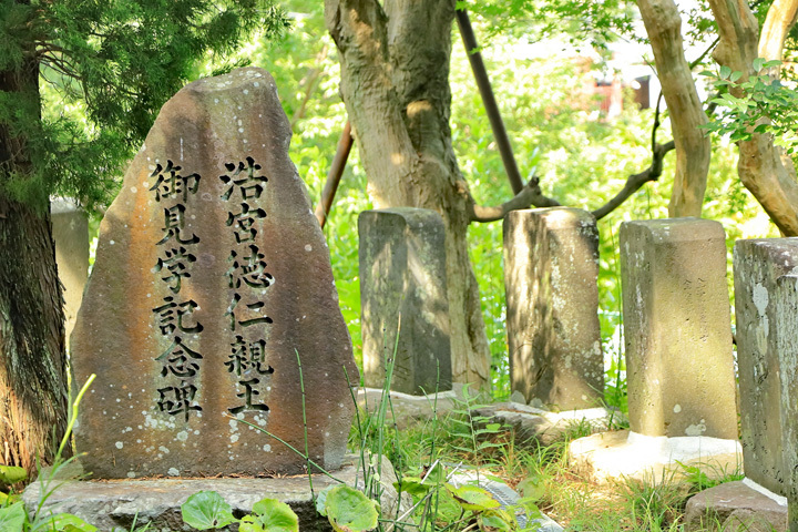 200825_Jyoganji_Hironomiya-Monument.jpg
