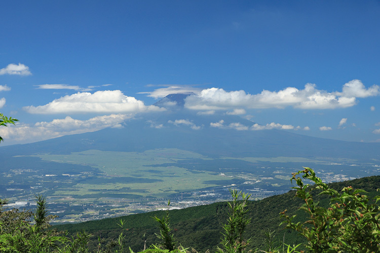 200826_Mt-Fuji_Syakushi-Toge.jpg