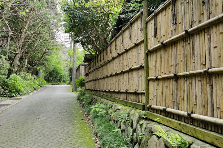 201011_Bamboo-Fence.jpg