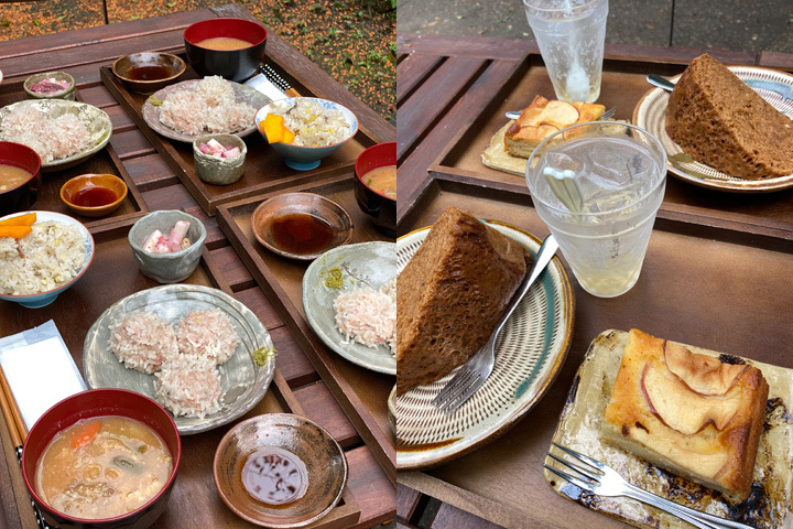 201011_Takaranoniwa-Lunch.jpg