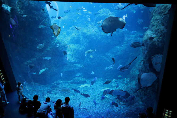 201018_New-Enoshima-Aquarium.jpg