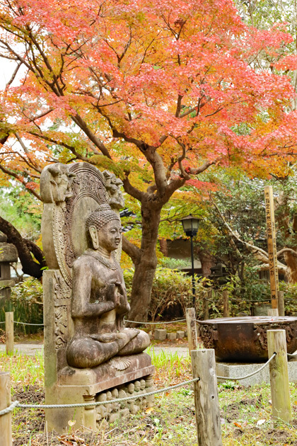 201206_Ankokuronji-Buddha.jpg