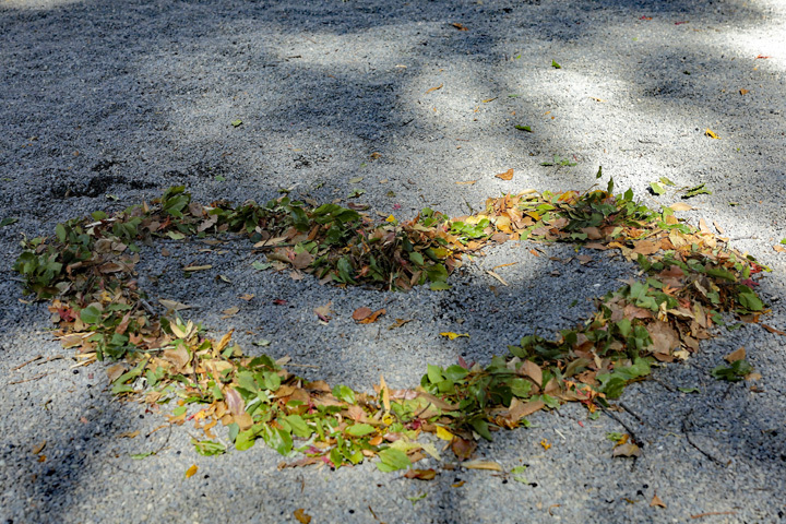 201218_Fallen-leaves.jpg