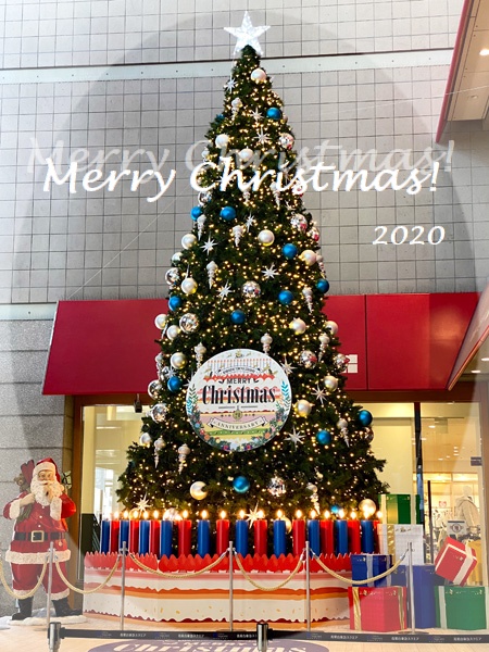 2020-Christmas-Tree_JTrim.jpg