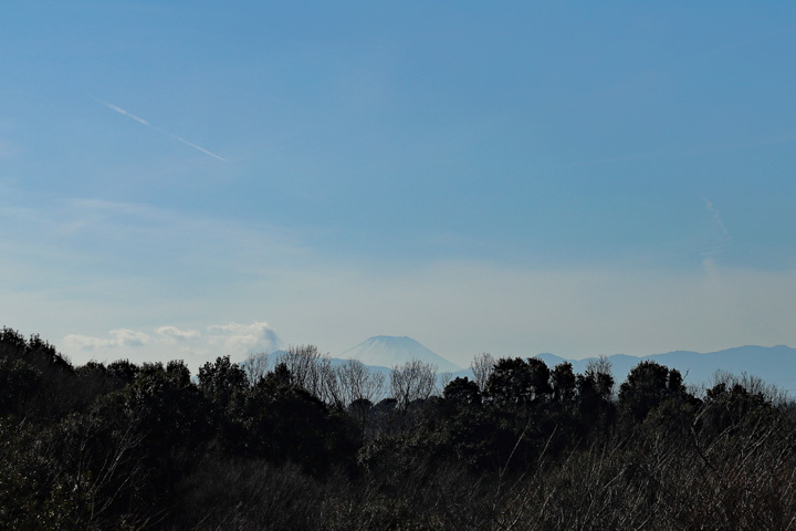 210205_Mt-Fuji.jpg