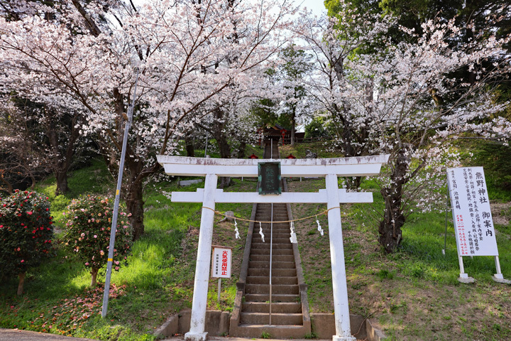 210326_Kumano-Shrine.jpg