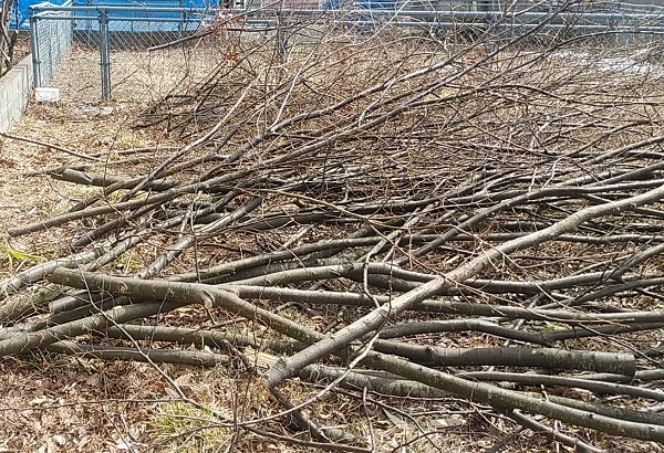 里山の循環を庭に 剪定枝の利活用 杜の木漏れ日 福岡造園blog