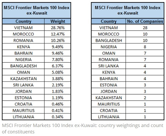 MSCI フロンティア・マーケット100インデックス　クウェートを除く国別の組入比率と銘柄数