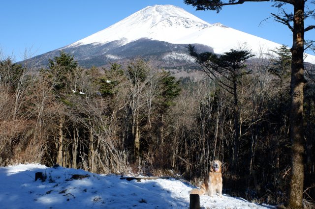 富士山　雪遊び　２０２１．１．３１ 021