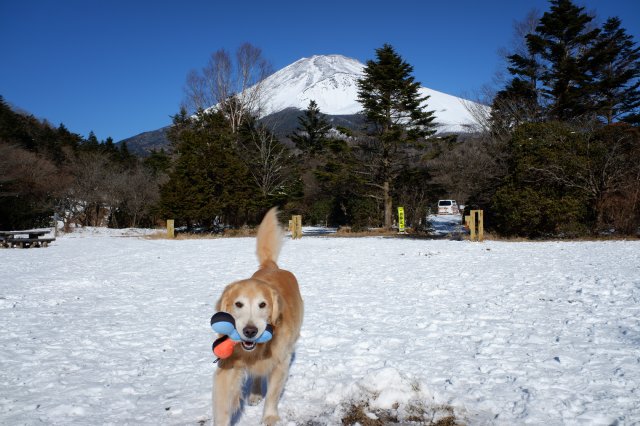 富士山　雪遊び　２０２１．１．３１ 035
