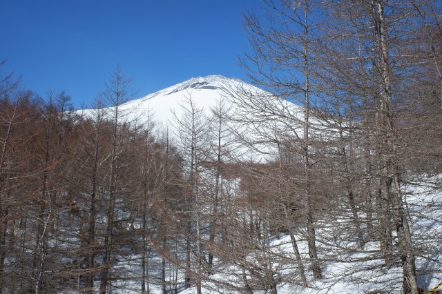 富士山　雪遊び　２０２１．１．３１ 106