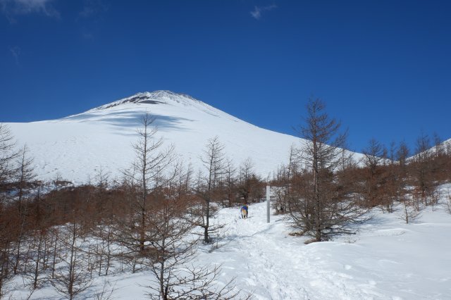 富士山　雪遊び　２０２１．１．３１ 116