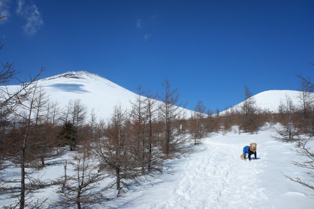 富士山　雪遊び　２０２１．１．３１ 115