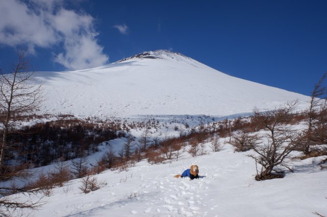 富士山　雪遊び　２０２１．１．３１ 121