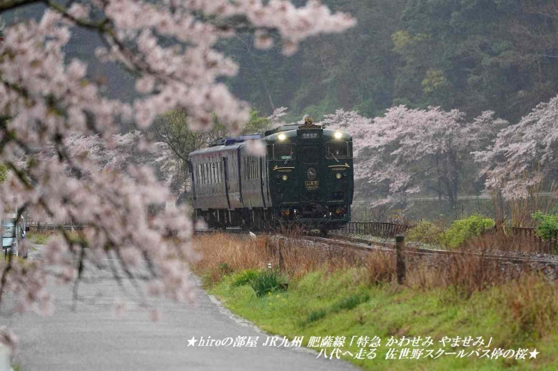 hiroの部屋 JR九州 肥薩線 「特急 かわせみ やませみ」 八代へ走る　佐世野スクールバス停の桜