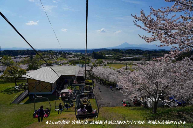 hiroの部屋 宮崎の花 高城観音池公園のリフトで桜を 都城市高城町石山