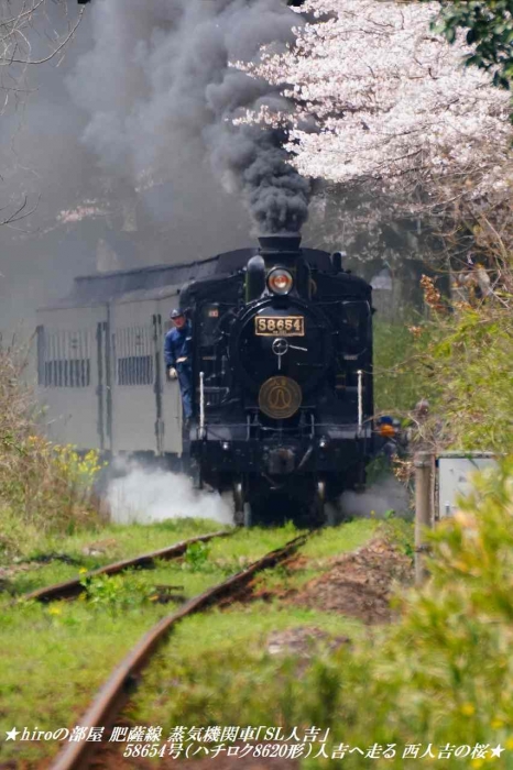 hiroの部屋 肥薩線 蒸気機関車「SL人吉」58654号（ハチロク8620形）人吉へ走る 西人吉の桜