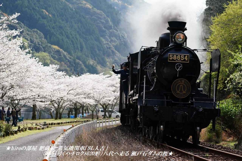 hiroの部屋 肥薩線 蒸気機関車「SL人吉」58654号（ハチロク8620形）八代へ走る 瀬戸石ダムの桜