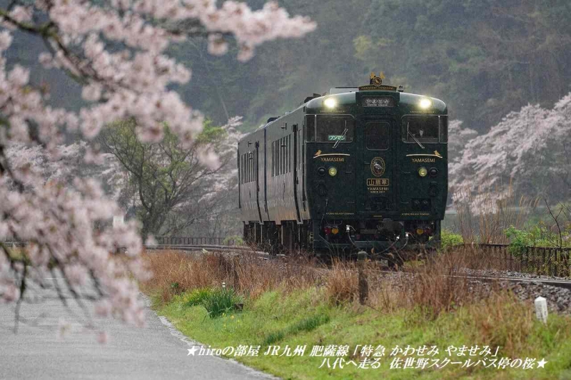 hiroの部屋 JR九州 肥薩線 「特急 かわせみ やませみ」 八代へ走る　佐世野スクールバス停の桜