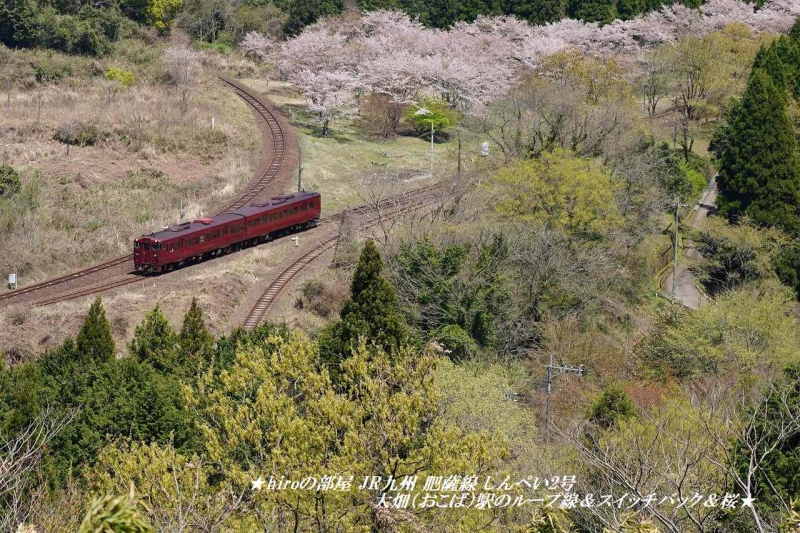 hiroの部屋 JR九州 肥薩線 しんぺい2号 大畑（おこば）駅のループ線＆スイッチバック＆桜