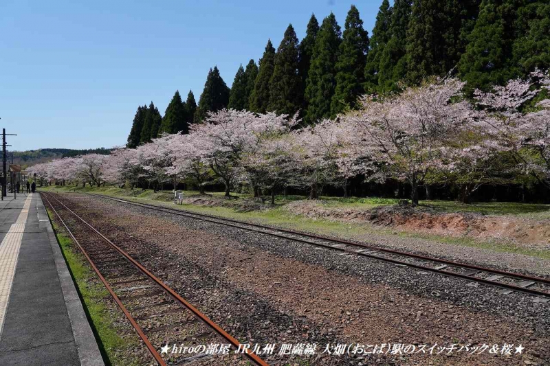hiroの部屋 JR九州 肥薩線 大畑（おこば）駅のスイッチバック＆桜