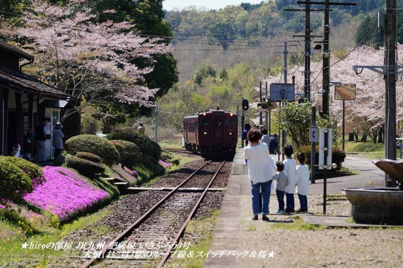 hiroの部屋 JR九州 肥薩線 いさぶろう3号 大畑（おこば）駅のループ線＆スイッチバック＆桜