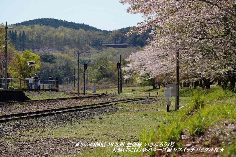 hiroの部屋 JR九州 肥薩線 いさぶろう3号 大畑（おこば）駅のループ線＆スイッチバック＆桜