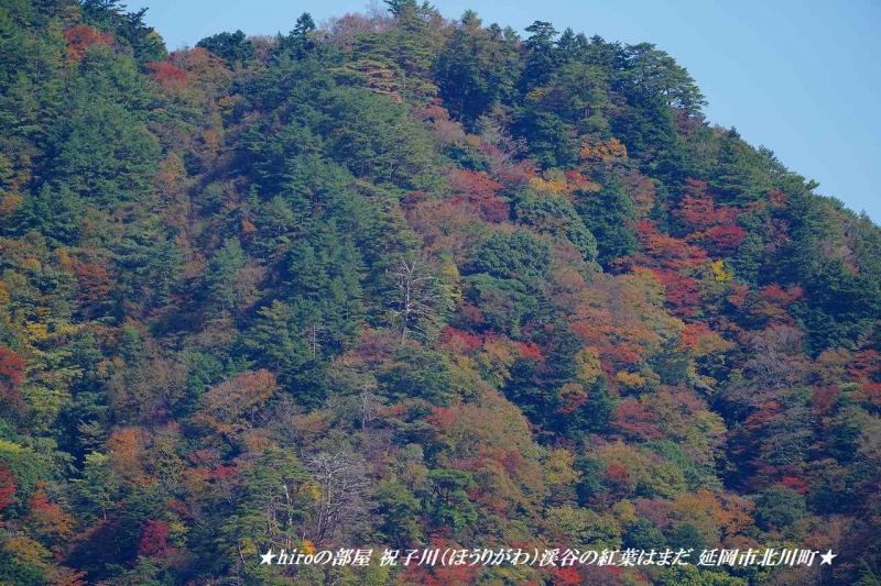 hiroの部屋 祝子川（ほうりがわ）渓谷の紅葉はまだ 延岡市北川町
