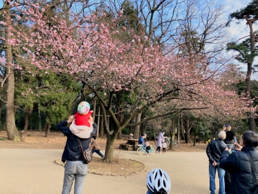 西園の桜2021年2月14日