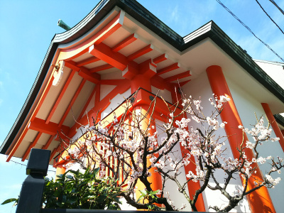 DSC_1337_0225神社の梅の風景_400