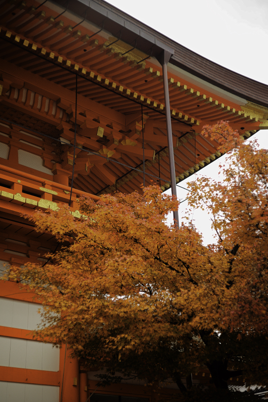 Kyoto20_Dec_024.jpg