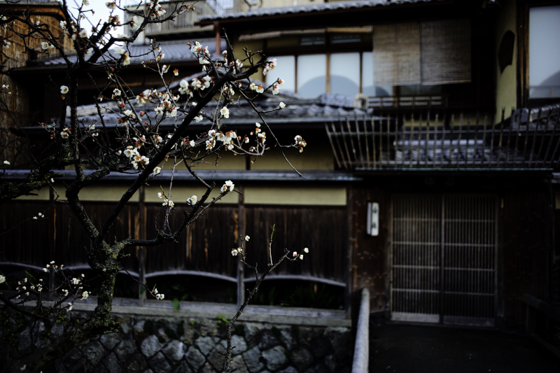 Kyoto21Feb_038.jpg