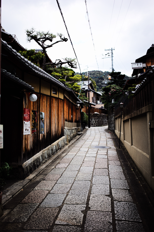 Kyoto21Feb_046.jpg