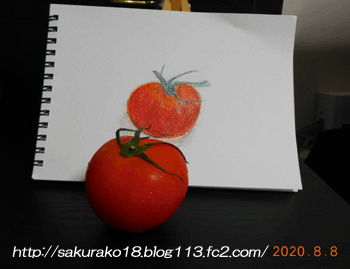 2020-8-9トマトの絵