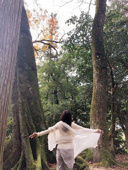 須佐神社の森 - コピー