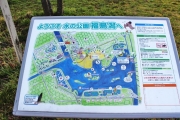 福島潟図-7156