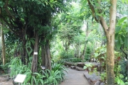 植物園1265